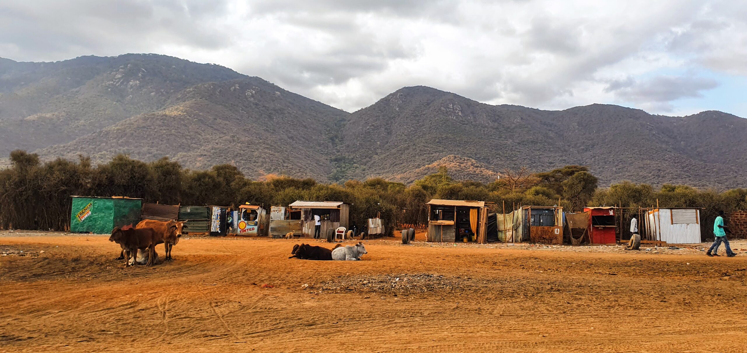 Huts by the road near the Namanga Tanzania/Kenya border crossing. Nairobi, here we come! Huts by the road near the Namanga Tanzania/Kenya border crossing. Nairobi, here we come!