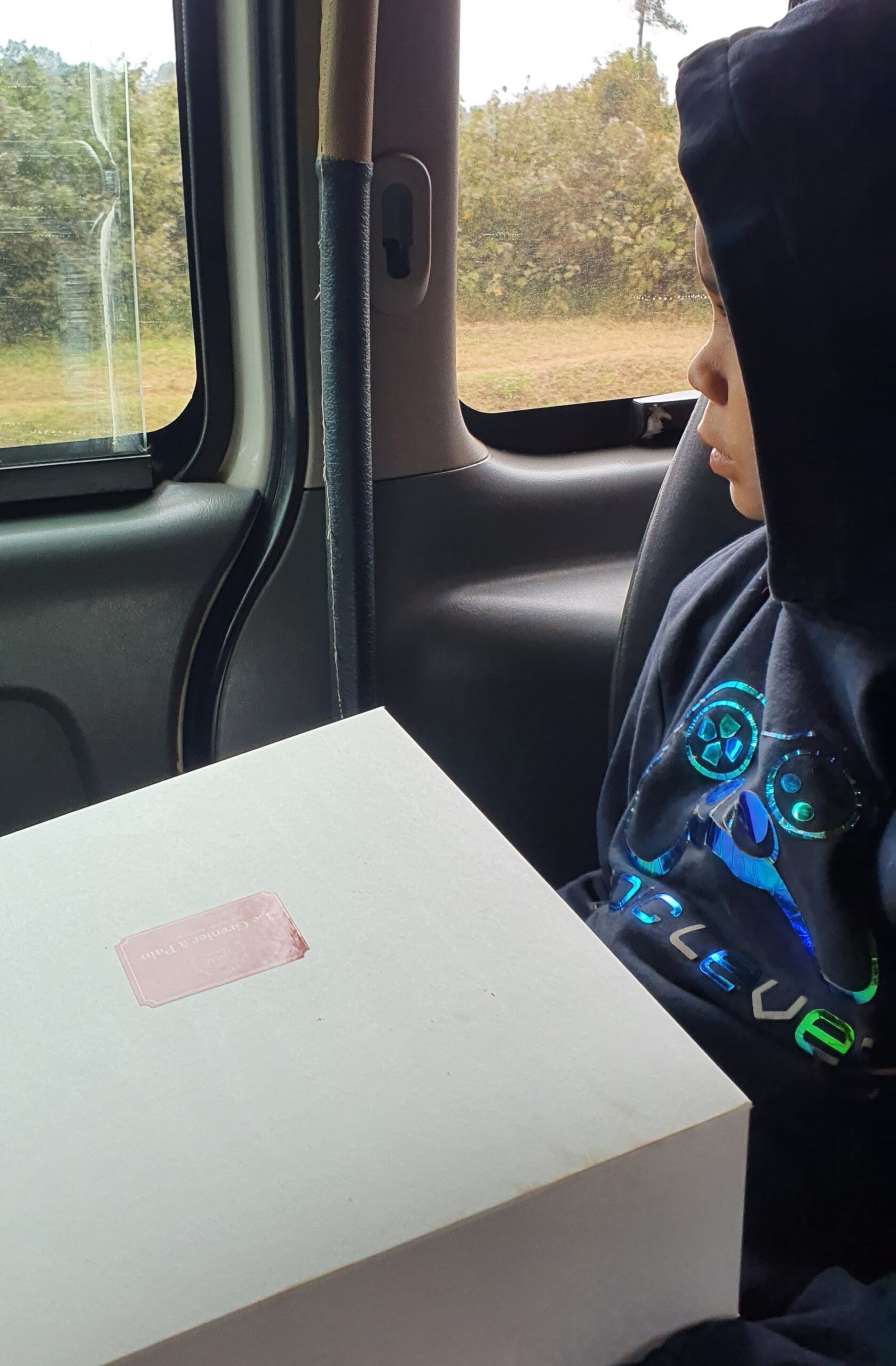 Rugrat#1 clutching his box of pastries from Le Grenier a Pain on the long drive from Nairobi to Masai Mara Rugrat#1 clutching his box of pastries from Le Grenier a Pain on the long drive from Nairobi to Masai Mara