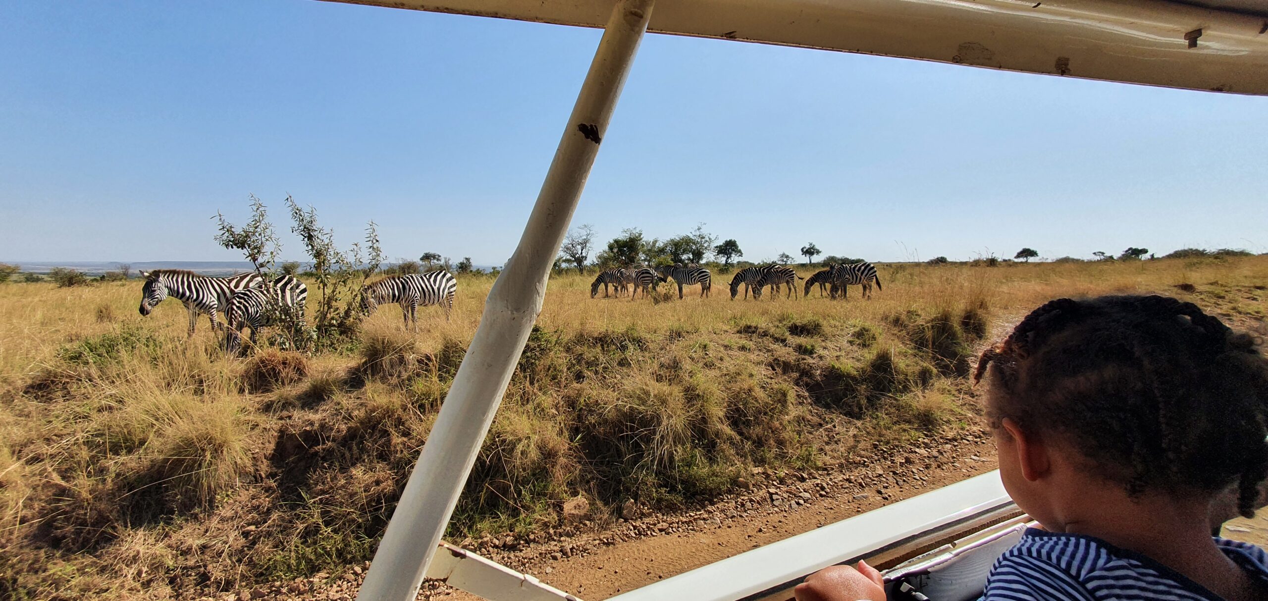 Rugrat#2 taking in the Zebes of the Masai Mara Rugrat#2 taking in the Zebes of the Masai Mara