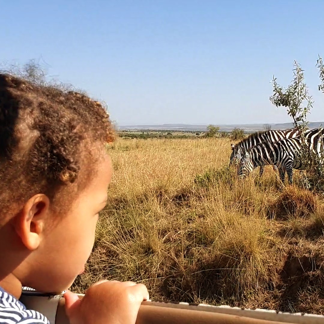 Rugrat#3 staring pensively at the zebras of the Masai Mara Rugrat#3 staring pensively at the zebras of the Masai Mara