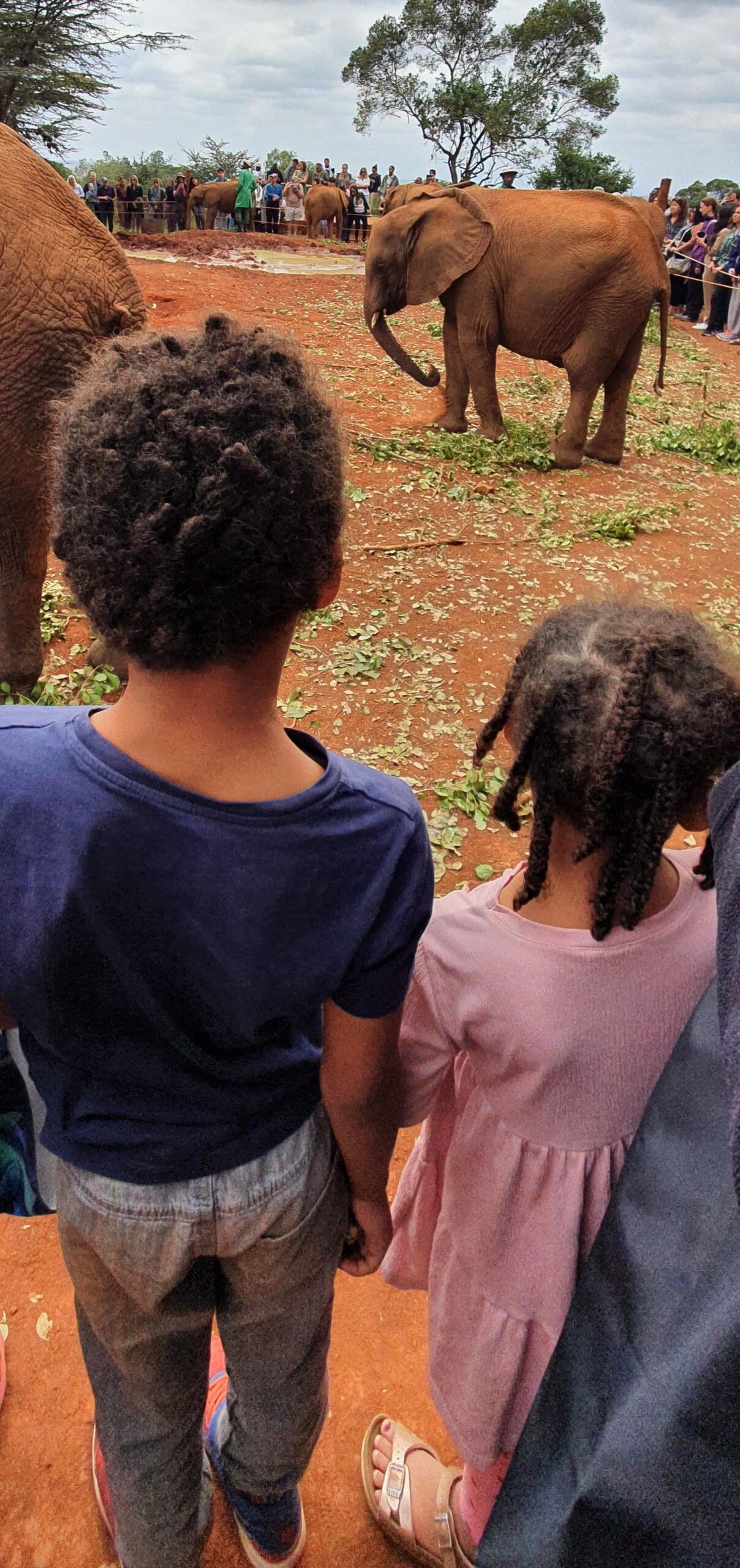 Rugrats#1 and 2 taking in their fifteen minutes' worth of baby elephants at Sheldrick Wildlife Trust in Nairobi, Kenya. Rugrats#1 and 2 taking in their fifteen minutes' worth of baby elephants at Sheldrick Wildlife Trust in Nairobi, Kenya.